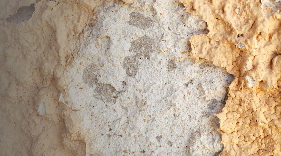 Why choose water damage restoration service for storm damage restoration in Littleton